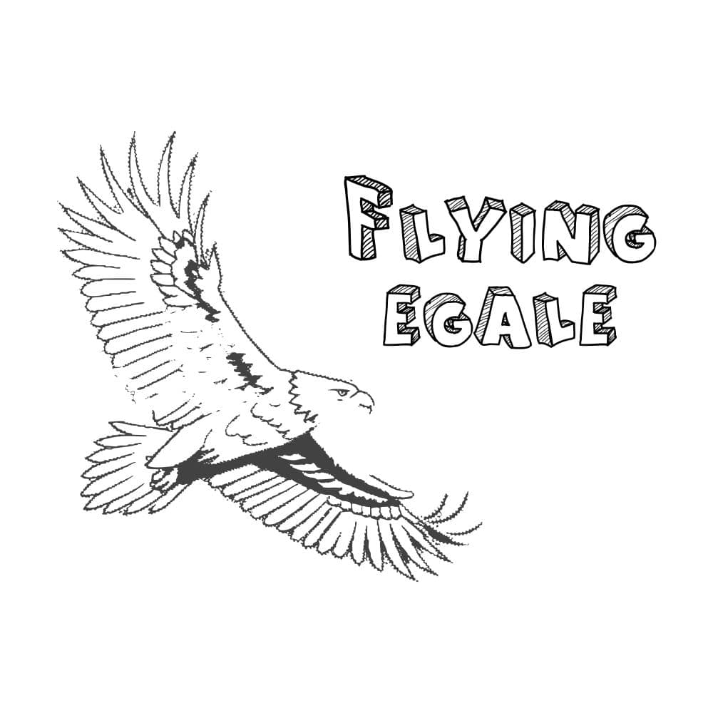 Hand-drawn eagle in flight with stylized text, symbolizing freedom and power