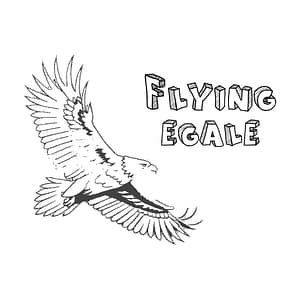 Hand-drawn eagle in flight with stylized text, symbolizing freedom and power